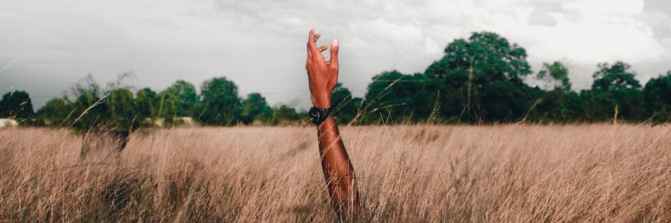 Der Purpose eines Unternehmens stellt die Frage nach dem Sinn und Zweck der Leistungen für den Kunden. Der Purpose eines Unternehmens stellt die Frage nach dem Sinn und Zweck der Leistungen für den Kunden.