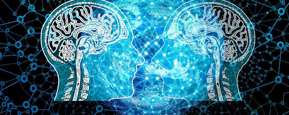 Forscher wollen herausgefunden haben, dass Entscheidungen vieler KI-Systeme nicht sehr intelligent sind. Forscher wollen herausgefunden haben, dass Entscheidungen vieler KI-Systeme nicht sehr intelligent sind.