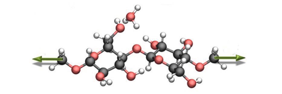 Die Molekülstruktur der Cellulose, auf die Nanowissenschaftler mechanische Kraft ausübten (grüne Pfeile). Dadurch veränderte sich die Hydrolyse-Reaktion stark. Die Molekülstruktur der Cellulose, auf die Nanowissenschaftler mechanische Kraft ausübten (grüne Pfeile). Dadurch veränderte sich die Hydrolyse-Reaktion stark.