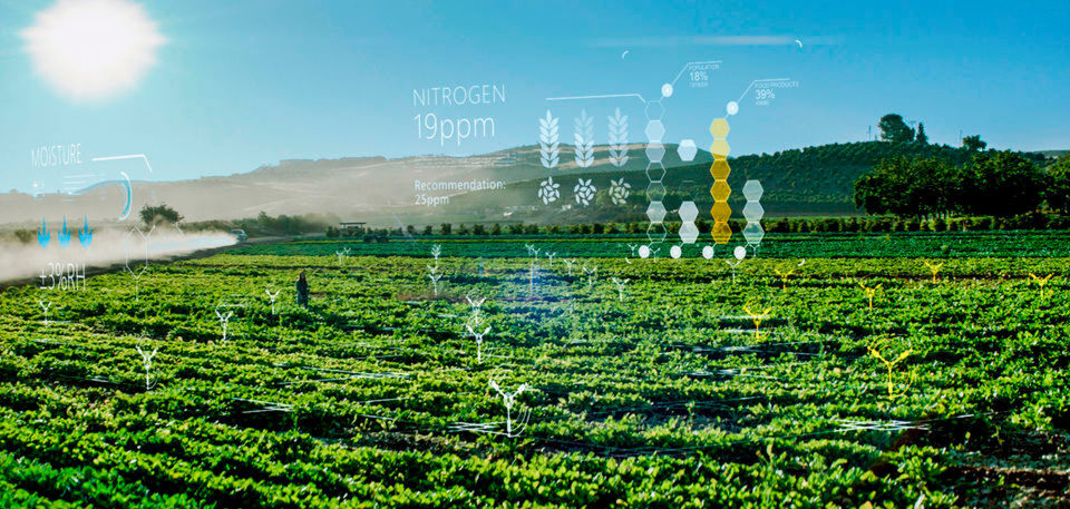 Microsoft's 'Farmbeats'-Technologie nutzt Künstliche Intelligenz und die Cloud, um landwirtschaftliche Produktivität zu steigern. Seit dem Windows 10 Update vom Oktober 2018 können Entwickler ihre KI-Modelle in der Cloud trainieren, um sie anschießend dann auf einem Windows 10-Gerät auf dem neuesten Stand der KI-Technik zu evaluieren. Microsoft's 'Farmbeats'-Technologie nutzt Künstliche Intelligenz und die Cloud, um landwirtschaftliche Produktivität zu steigern. Seit dem Windows 10 Update vom Oktober 2018 können Entwickler ihre KI-Modelle in der Cloud trainieren, um sie anschießend dann auf einem Windows 10-Gerät auf dem neuesten Stand der KI-Technik zu evaluieren.