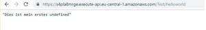 Erst mit der richtigen „Sub-URL“ namens „/Test/helloworld“ erscheint der richtige Text, allerdings mit dem Zusatz „undefined“. Erst mit der richtigen „Sub-URL“ namens „/Test/helloworld“ erscheint der richtige Text, allerdings mit dem Zusatz „undefined“.