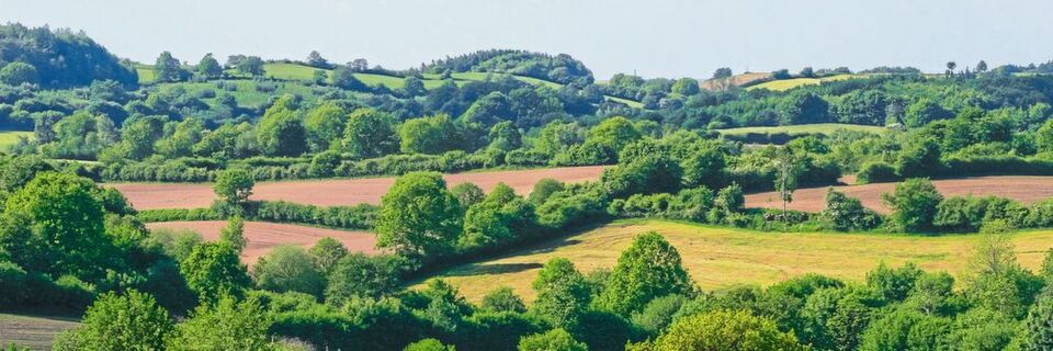 Die Knick-Hügel-Landschaft in Schleswig-Holstein wird digitalisiert. Der ländliche Raum birgt viele Potenziale zur Umsetzung digitaler Angebote Die Knick-Hügel-Landschaft in Schleswig-Holstein wird digitalisiert. Der ländliche Raum birgt viele Potenziale zur Umsetzung digitaler Angebote