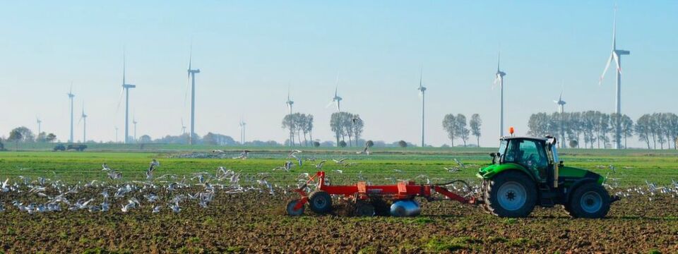 Den Kreislauf zwischen Energieerzeugung, Rechenleistung und Kohlendioxidverbrauch schließt bei Windcloud Pflanzenbau Den Kreislauf zwischen Energieerzeugung, Rechenleistung und Kohlendioxidverbrauch schließt bei Windcloud Pflanzenbau