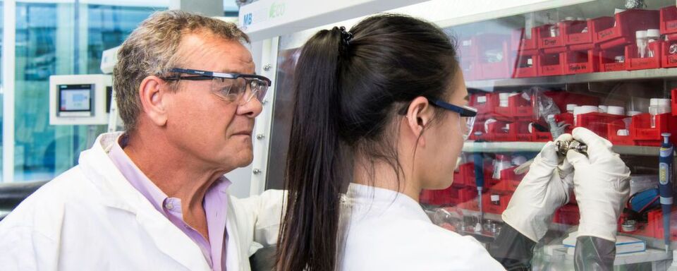 Professor Stefano Passerini und seine Mitarbeiterin Hyein Moon setzen an einer Handschuhbox eine Natrium-Ionen-Batterie zusammen. Professor Stefano Passerini und seine Mitarbeiterin Hyein Moon setzen an einer Handschuhbox eine Natrium-Ionen-Batterie zusammen.