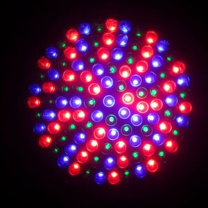 In a white LED, red and yellow-green phosphors are excited by the light from a blue diode. In a white LED, red and yellow-green phosphors are excited by the light from a blue diode.