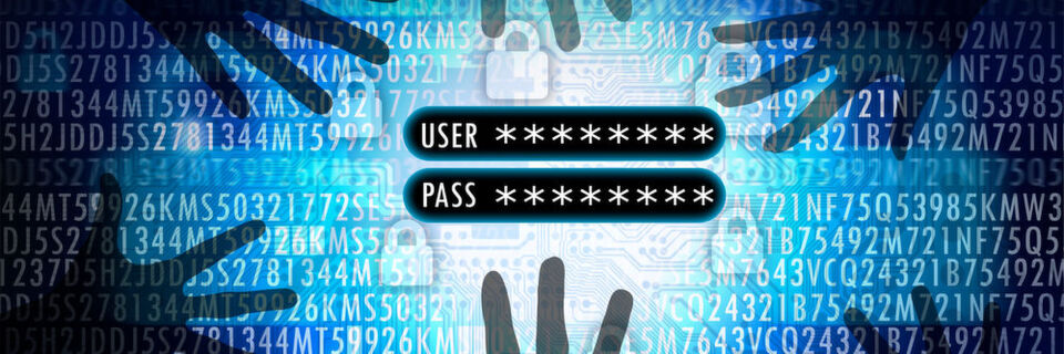 Speziell bei Online-Behördengängen haben die Deutschen Angst vor Datenklau. Speziell bei Online-Behördengängen haben die Deutschen Angst vor Datenklau.
