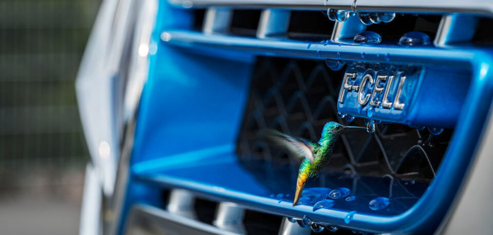 Ein Exot: Der F‑CELL von Mercedes kombiniert Brennstoffzellen- und Batterietechnik zu einem Plug-in-Hybrid. Kaufen kann ihn nicht nicht, leasen hingegen schon. Ein Exot: Der F‑CELL von Mercedes kombiniert Brennstoffzellen- und Batterietechnik zu einem Plug-in-Hybrid. Kaufen kann ihn nicht nicht, leasen hingegen schon.