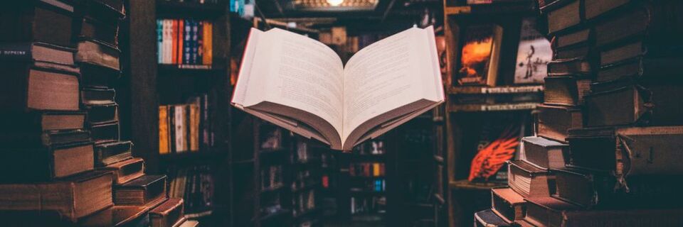 Richtig eingesetzt können Whitepaper Leser überraschen und überzeugen. Richtig eingesetzt können Whitepaper Leser überraschen und überzeugen.