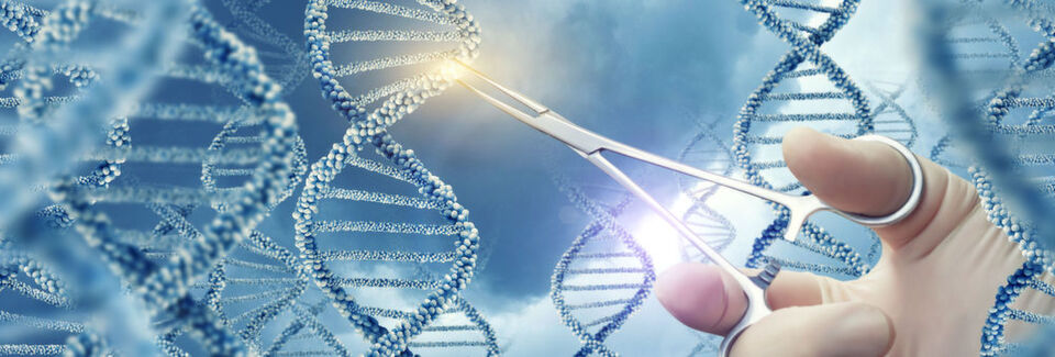 Genome Editing und die Entdeckung der Gen-Schere CRISPR/Cas9 gilt als Revolution in der Molekularbiologie (Symbolbild) Genome Editing und die Entdeckung der Gen-Schere CRISPR/Cas9 gilt als Revolution in der Molekularbiologie (Symbolbild)
