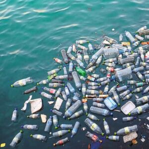 Plastikmüll zerfällt im Meer nach und nach zu Mikroplastik. Darauf siedelt sich u.a. Plankton an (Symbolbild). Plastikmüll zerfällt im Meer nach und nach zu Mikroplastik. Darauf siedelt sich u.a. Plankton an (Symbolbild).
