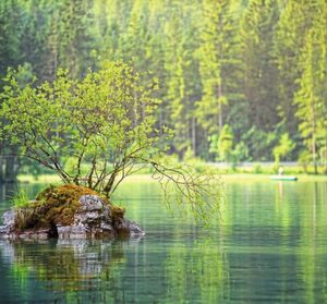 Binnen- und Küstengewässer zählen zu den Hotspots der Biodiversität. | Binnen- und Küstengewässer zählen zu den Hotspots der Biodiversität. |