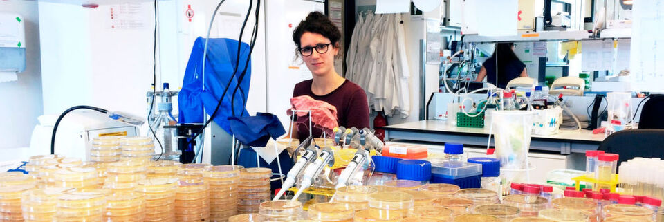 Tanita Wein untersuchte in ihrer Promotionsarbeit am Beispiel des Bakteriums Escherichia coli, wie sich Plasmide in Abwesenheit eines Selektionsdrucks entwickeln. Tanita Wein untersuchte in ihrer Promotionsarbeit am Beispiel des Bakteriums Escherichia coli, wie sich Plasmide in Abwesenheit eines Selektionsdrucks entwickeln.