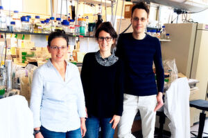 Einige der Autoren der neuen Forschungsarbeit: Prof. Tal Dagan (links), Tanita Wein und Dr. Nils Hülter vom Institut für Allgemeine Mikrobiologie an der CAU Einige der Autoren der neuen Forschungsarbeit: Prof. Tal Dagan (links), Tanita Wein und Dr. Nils Hülter vom Institut für Allgemeine Mikrobiologie an der CAU