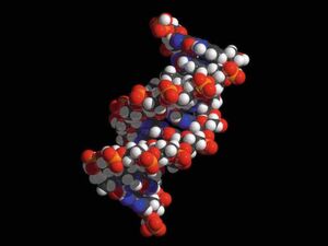 Wie enstanden DNA-Moleküle? LMU-Wissenschaftler haben eine neue Theorie über die Ursprünge des Lebens (Symbolbild). Wie enstanden DNA-Moleküle? LMU-Wissenschaftler haben eine neue Theorie über die Ursprünge des Lebens (Symbolbild).