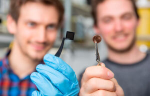 Die neuromorphen Chips der Universitäten Münster, Oxford und Exeter sind ungefähr so groß wie eine Ein-Cent-Münze. Die neuromorphen Chips der Universitäten Münster, Oxford und Exeter sind ungefähr so groß wie eine Ein-Cent-Münze.