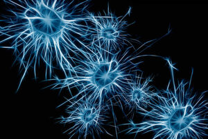 Neuronen sind ein Bestandteil der neuen Computerarchitekturen; photonische neurosynaptische Netzwerke versprechen hohe Geschwindigkeit und Bandbreite. Neuronen sind ein Bestandteil der neuen Computerarchitekturen; photonische neurosynaptische Netzwerke versprechen hohe Geschwindigkeit und Bandbreite.