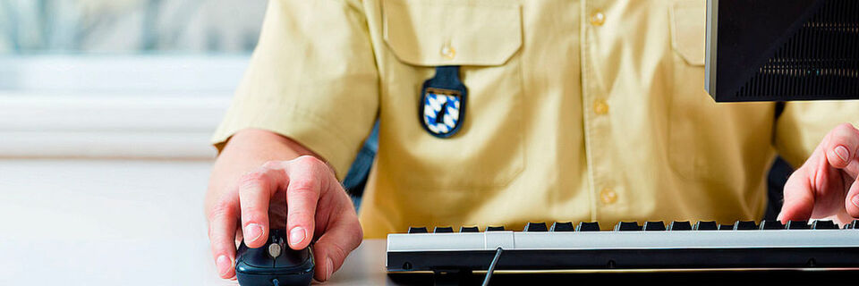 Behindert der Datenflickenteppich der Polizeien die Strafverfolgung? Behindert der Datenflickenteppich der Polizeien die Strafverfolgung?