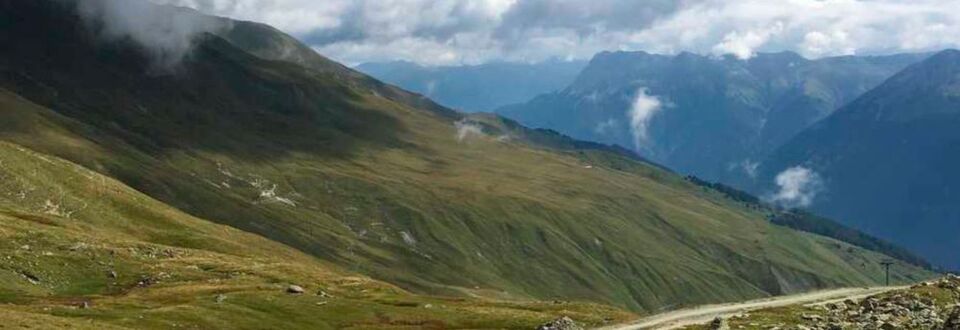 Lebensraum des Steinpilzes auf 2440 m.ü.M. Lebensraum des Steinpilzes auf 2440 m.ü.M.