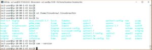 Wir testen, ob und in welcher Version das Programm „SAM CLI“ auf dem Zielsystem bereitsteht. Wir testen, ob und in welcher Version das Programm „SAM CLI“ auf dem Zielsystem bereitsteht.