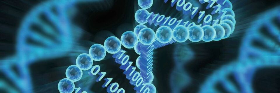 Medizinische Daten müssen abgesichert werden Medizinische Daten müssen abgesichert werden