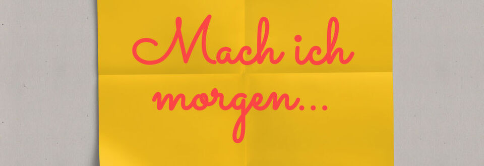 Die Steuererklärung immer noch nicht fertig und den Hausputz auf nächste Woche verschoben? Schuld könnten die Gene sein. Zumindest bei Frauen. Die Steuererklärung immer noch nicht fertig und den Hausputz auf nächste Woche verschoben? Schuld könnten die Gene sein. Zumindest bei Frauen.
