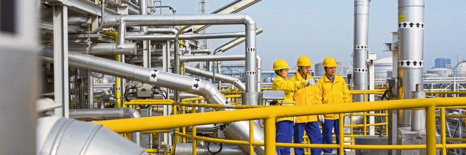 Große Unternehmen haben sich in China auf die strengere Umweltgesetzgebung eingestellt, wohingegen die Behörden viele kleinere Betriebe geschlossen haben. Große Unternehmen haben sich in China auf die strengere Umweltgesetzgebung eingestellt, wohingegen die Behörden viele kleinere Betriebe geschlossen haben.
