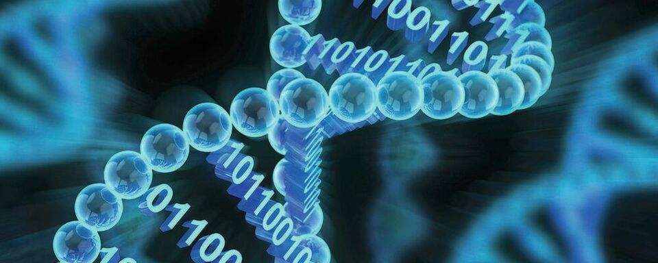 Medizinische Daten müssen abgesichert werden Medizinische Daten müssen abgesichert werden