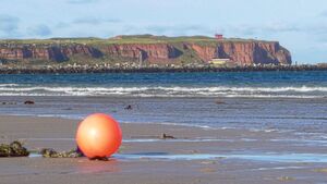 Helgoland ist Deutschlands einzige echte Hochseeinsel, bekannt eher für Seevögel, Robben und zollfreies Einkaufen als für winzige Algen. Aber was die MPI-Wissenschaftler interessierte, war das Schicksal der organischen Substanz nach dem Tod der Algen. Helgoland ist Deutschlands einzige echte Hochseeinsel, bekannt eher für Seevögel, Robben und zollfreies Einkaufen als für winzige Algen. Aber was die MPI-Wissenschaftler interessierte, war das Schicksal der organischen Substanz nach dem Tod der Algen.