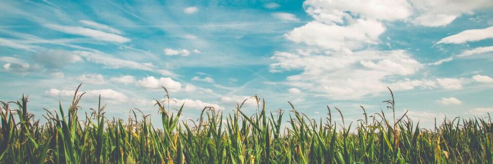Big Data und Data Analytics sind die aktuellen Trends der B2B-Kommunikation. Big Data und Data Analytics sind die aktuellen Trends der B2B-Kommunikation.
