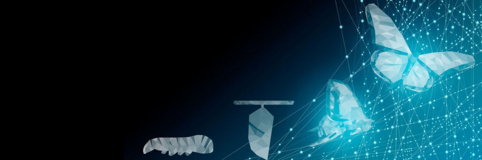 Die Digitale Transformation gestaltet sich häufig schwierig. Die Digitale Transformation gestaltet sich häufig schwierig.