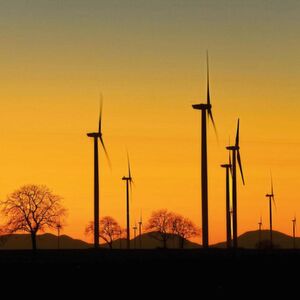 Windkraftanlage: Die Rotorblätter sind enormen Kräften ausgesetzt. Mittels Ultraschall-Scan generierte Bilddaten können die Wartung vereinfachen. Windkraftanlage: Die Rotorblätter sind enormen Kräften ausgesetzt. Mittels Ultraschall-Scan generierte Bilddaten können die Wartung vereinfachen.