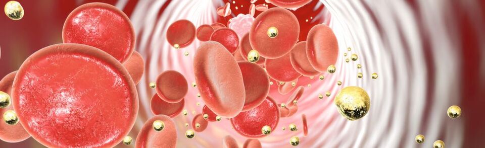 1 Gold nanoparticles could establish themselves as active substance vehicles in medicine. However, their effects and side effects must first be comprehensively studied. 1 Gold nanoparticles could establish themselves as active substance vehicles in medicine. However, their effects and side effects must first be comprehensively studied.