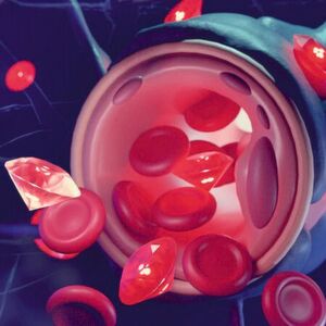 Mit Albumin beschichtete Nanodiamanten können die Blut-Hirn-Schranke überwinden und gezielt für Diagnose- und Therapiezwecke im Gehirn verwendet werden. Mit Albumin beschichtete Nanodiamanten können die Blut-Hirn-Schranke überwinden und gezielt für Diagnose- und Therapiezwecke im Gehirn verwendet werden.
