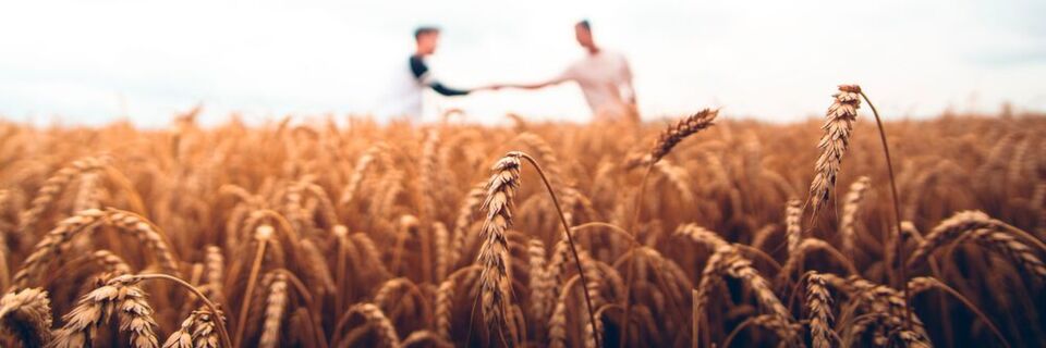 Auch im B2B Marketing lassen sich Emotionen nutzen. Das zeigt zum Beispiel der Landtechnikhersteller HORSCH mit der Kampagne Farming Heroes. Auch im B2B Marketing lassen sich Emotionen nutzen. Das zeigt zum Beispiel der Landtechnikhersteller HORSCH mit der Kampagne Farming Heroes.