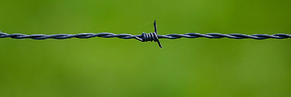 Die Anzahl der Datendiebstähle in IaaS-Umgebungen ist laut McAfee pro Jahr um 248 Prozent gestiegen. Die Anzahl der Datendiebstähle in IaaS-Umgebungen ist laut McAfee pro Jahr um 248 Prozent gestiegen.