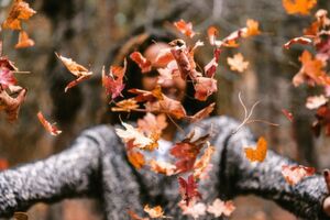 Mit diesen Gadgets macht der Herbst so richtig Spaß! Mit diesen Gadgets macht der Herbst so richtig Spaß!
