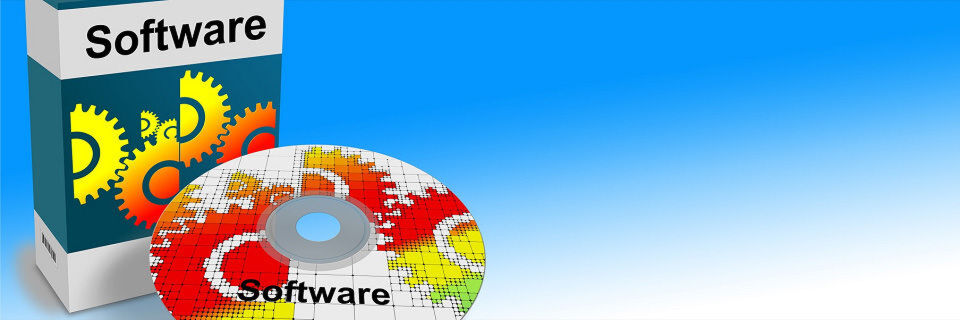 Beim Software Asset Management (SAM) gibt es also einiges zu beachten. Wie setzen Unternehmen dieses in der Praxis um? Beim Software Asset Management (SAM) gibt es also einiges zu beachten. Wie setzen Unternehmen dieses in der Praxis um?