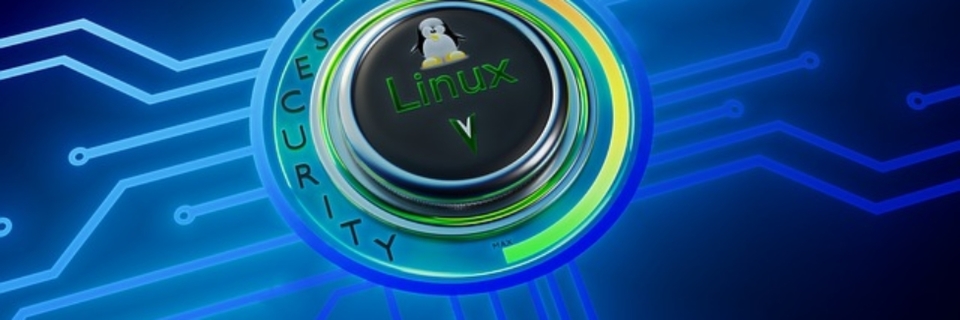 Linux im Rechenzentrum einsetzen (Quelle: Image by MasterTux from Pixabay) Linux im Rechenzentrum einsetzen (Quelle: Image by MasterTux from Pixabay)