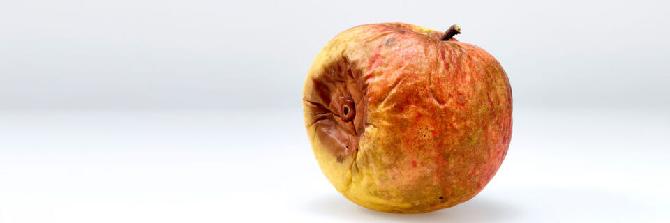 Jeder Apfel verliert irgendwann seinen Glanz. Jeder Apfel verliert irgendwann seinen Glanz.