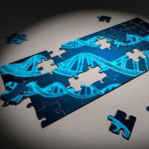 The CRISPR/Cas9 system, a.k.a. ‘the gene snipper’, can be modified and used to alter the expression of thousands of different proteins. The CRISPR/Cas9 system, a.k.a. ‘the gene snipper’, can be modified and used to alter the expression of thousands of different proteins.