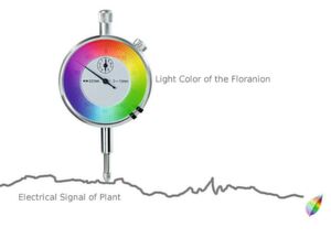 Bild 2: Die Elektrodermale Aktivität der Pflanze wird als Farbänderung einer RGB-LED angezeigt. Bild 2: Die Elektrodermale Aktivität der Pflanze wird als Farbänderung einer RGB-LED angezeigt.