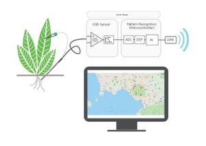 Bild 4: Zukunftsvision Floranium-Projekt: Die gemessenen Pflanzensignale von vielen verteilten Floranions könnten via Deep Learning (künstliche Intelligenz) beurteilt werden, um Auffälligkeiten in der Umwelt zu alarmieren. Bild 4: Zukunftsvision Floranium-Projekt: Die gemessenen Pflanzensignale von vielen verteilten Floranions könnten via Deep Learning (künstliche Intelligenz) beurteilt werden, um Auffälligkeiten in der Umwelt zu alarmieren.
