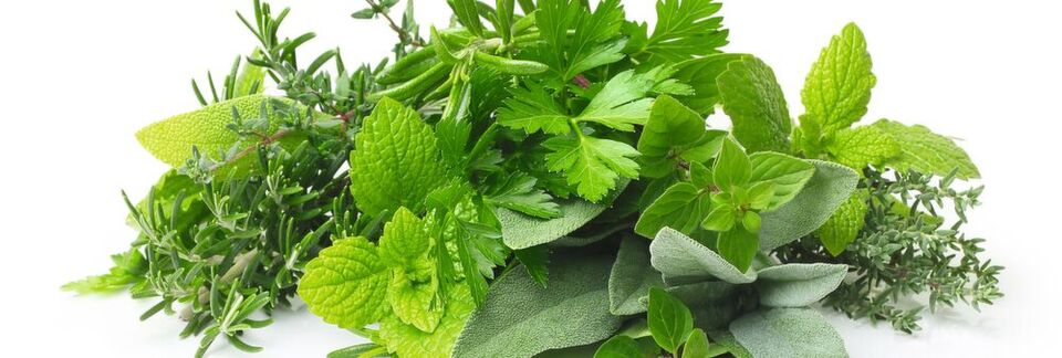 Fig.1: Herbs can contain pyrrolizidine alkaloids which can be harmful for consumers. Fig.1: Herbs can contain pyrrolizidine alkaloids which can be harmful for consumers.