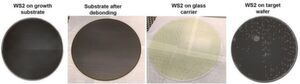 Bild 3: Aufwachsen und Transfer eines 0,7 nm dicken WS2-Monolayers auf einen 300-mm-Wafer. Bild 3: Aufwachsen und Transfer eines 0,7 nm dicken WS2-Monolayers auf einen 300-mm-Wafer.