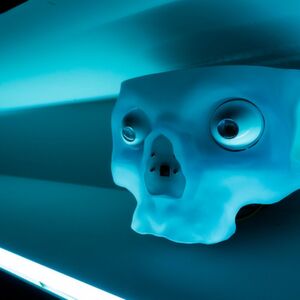 KI-Lösungen werden in den verschiedensten Bereichen mehr und mehr zur Schlüsseltechnologie. KI-Lösungen werden in den verschiedensten Bereichen mehr und mehr zur Schlüsseltechnologie.
