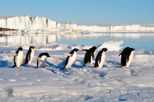 Wer sich selbst als versierter Embedded-Entwickler zum ersten Mal auf Linux-Reise begibt, muss sich auf einige neue Erfahrungen einstellen – vor allem im Umgang mit dem Open-Source-Gedanken. Wer sich selbst als versierter Embedded-Entwickler zum ersten Mal auf Linux-Reise begibt, muss sich auf einige neue Erfahrungen einstellen – vor allem im Umgang mit dem Open-Source-Gedanken.