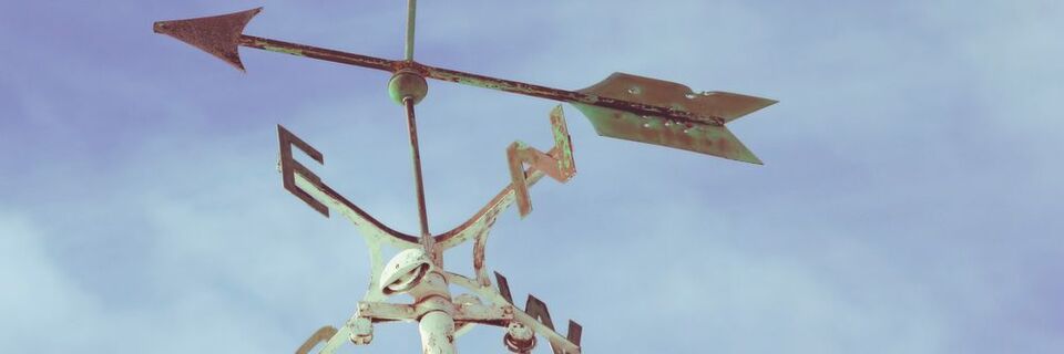 Ein Purpose ist der Daseinssinn, das große Warum eines Unternehmens, die Philosophie hinter dem Geschäftsmodell, der sinnstiftende Wesenskern, die Leitmaxime für alles Handeln. Ein Purpose ist der Daseinssinn, das große Warum eines Unternehmens, die Philosophie hinter dem Geschäftsmodell, der sinnstiftende Wesenskern, die Leitmaxime für alles Handeln.