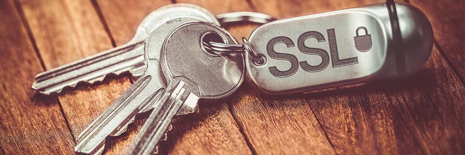 SSL-Verschlüsselung ist für ein sicheres SD-WAN unerlässlich. SSL-Verschlüsselung ist für ein sicheres SD-WAN unerlässlich.