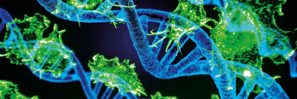 Je größer und komplexer die Netzwerke und die Datenmengen werden, desto robuster muss das Sicherungssystem werden, um Angreifern Paroli bieten zu können Je größer und komplexer die Netzwerke und die Datenmengen werden, desto robuster muss das Sicherungssystem werden, um Angreifern Paroli bieten zu können