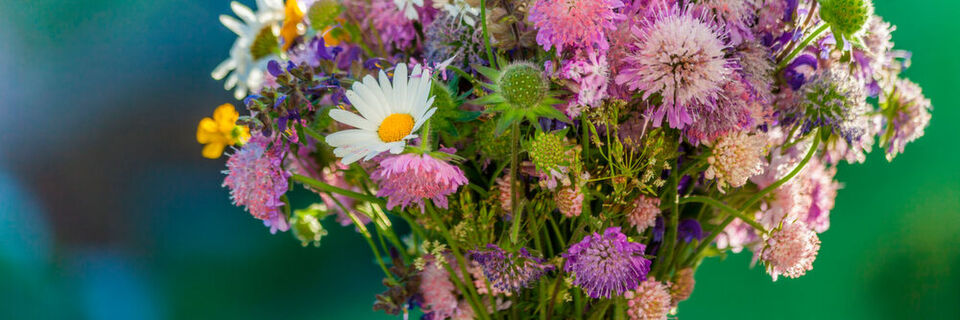 Jedes Unternehmen hat einen Blumenstrauß an Applikationen, die miteinander verbunden werden. Jedes Unternehmen hat einen Blumenstrauß an Applikationen, die miteinander verbunden werden.